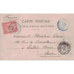 MADAGASCAR - TAMATAVE BLEU - PAQUEBOT - LA REUNION A MARSEILLE 1° L.U.N°2 - 19-6-1905 -10c ZEBU - CARTE POUR LA FRANCE.